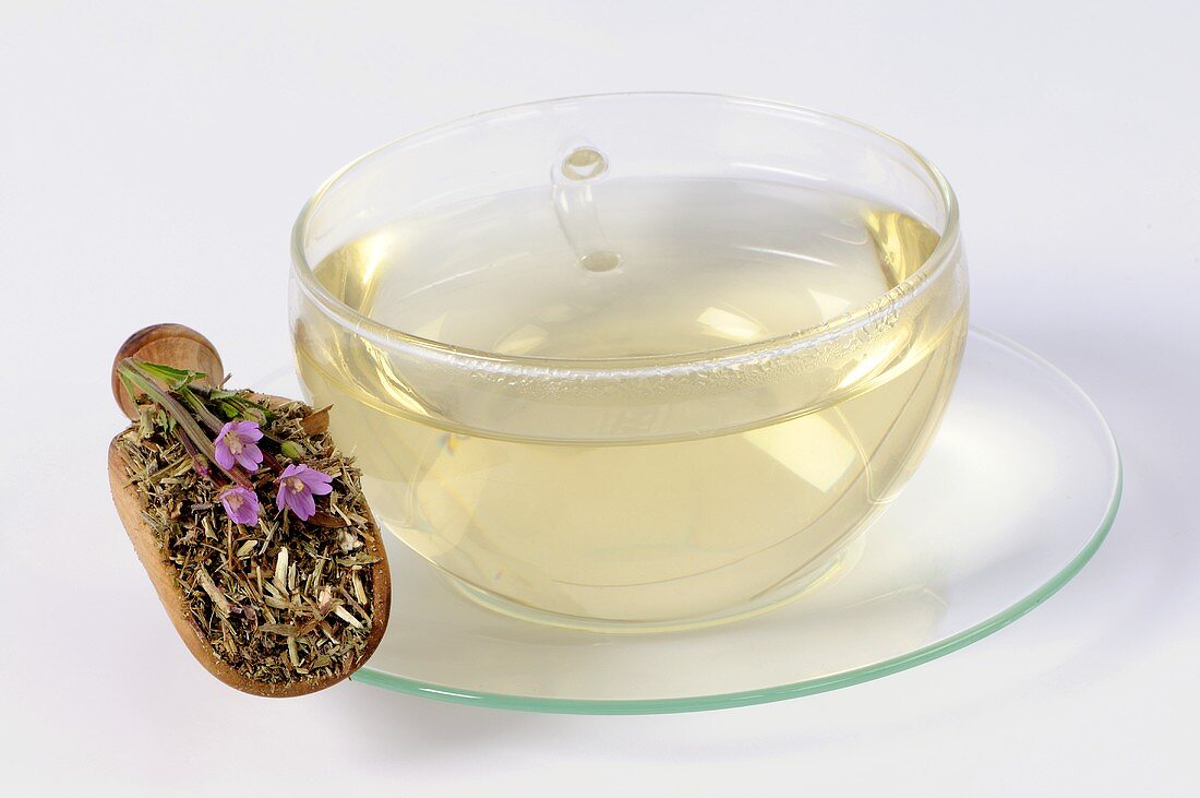 Tee des kleinblütigen Weidenröschens (Epilobium parviflorum)