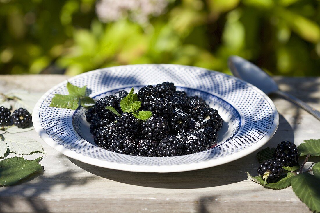 Sugared blackberries on a plate