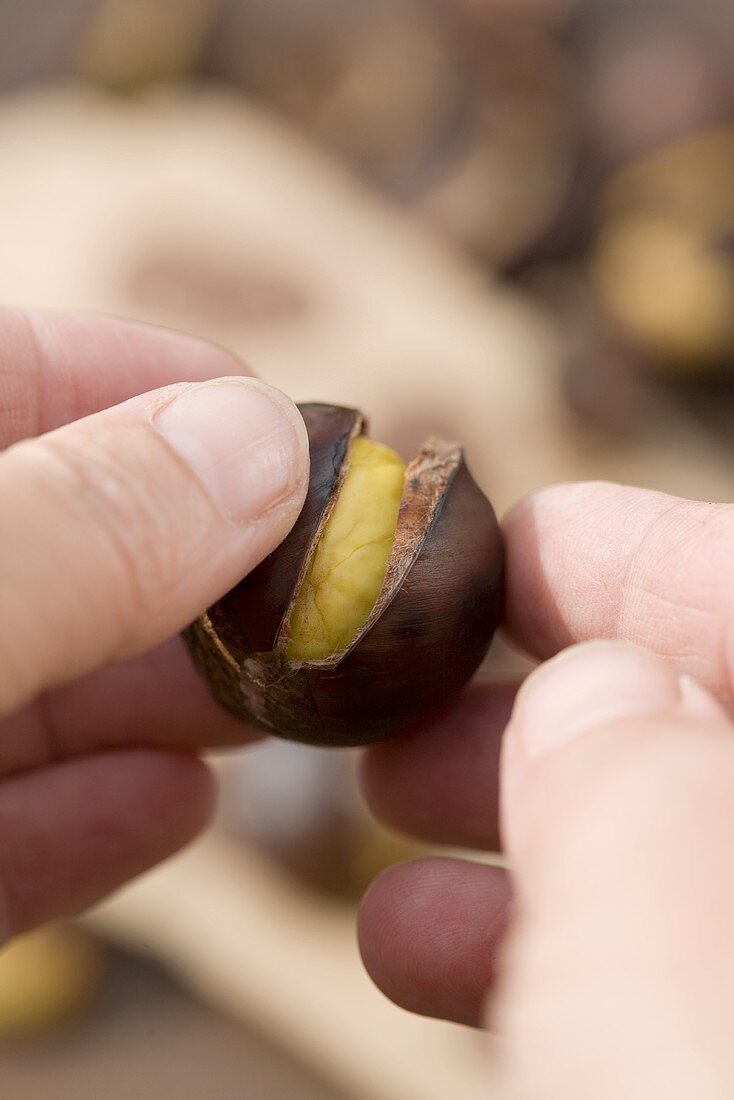 Hands holding a roasted chestnut