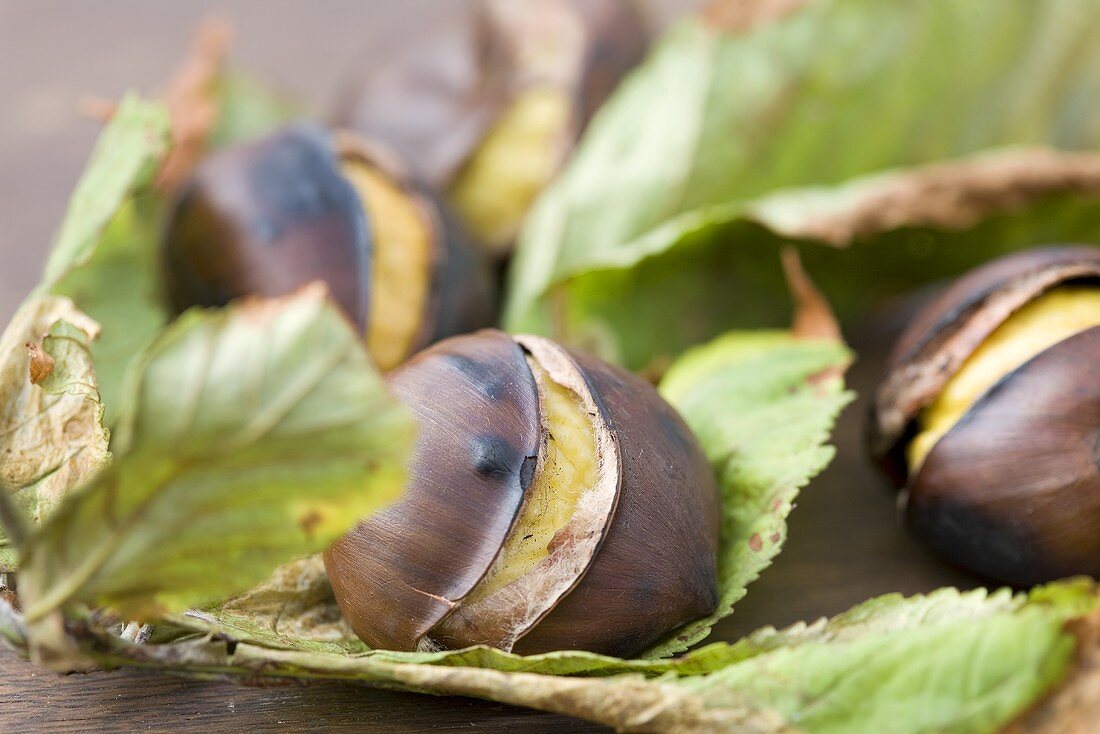 Hot chestnuts on a leaf