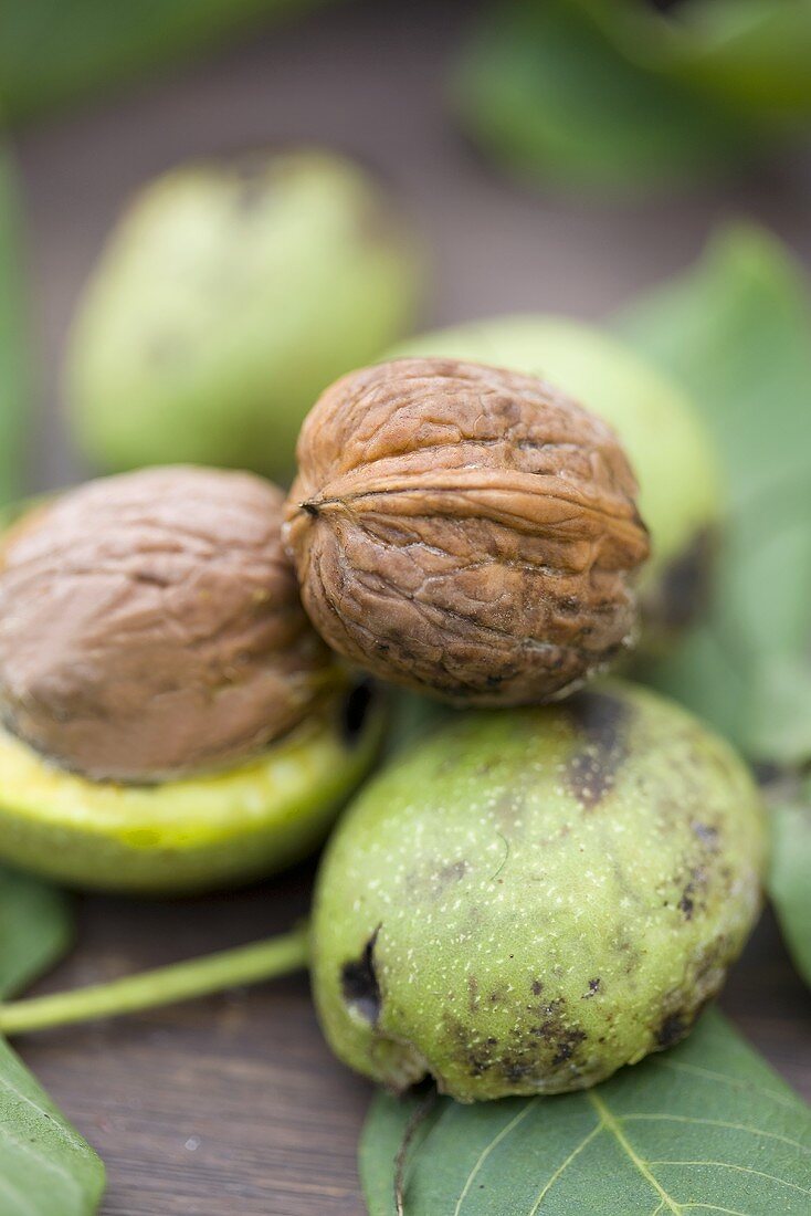 Walnuts, some in green shells