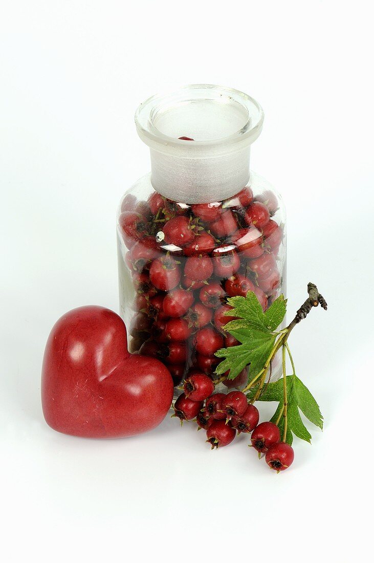 Haws (hawthorn fruits) with red heart
