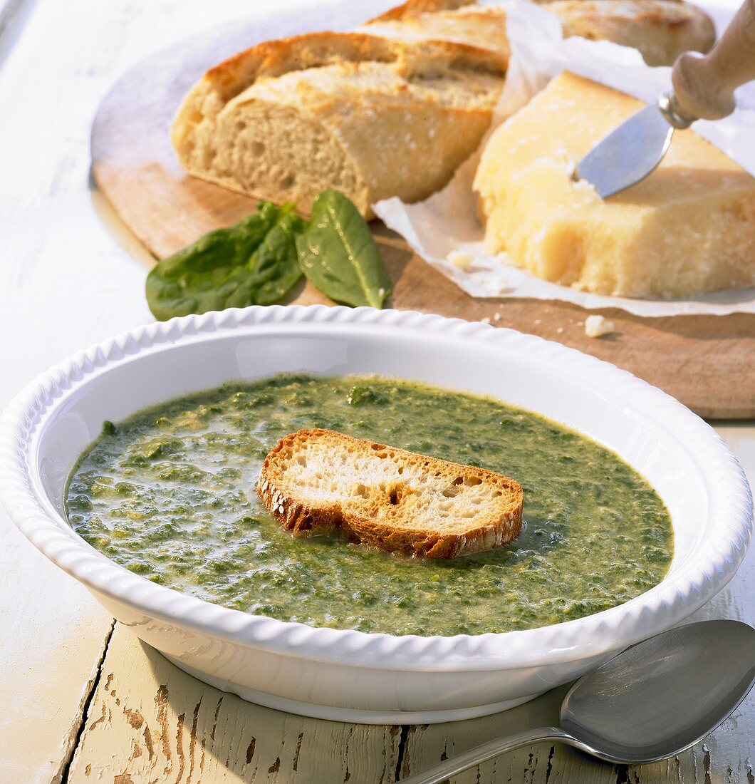 Vellutata di spinaci (Spinatsuppe mit geröstetem Weißbrot)