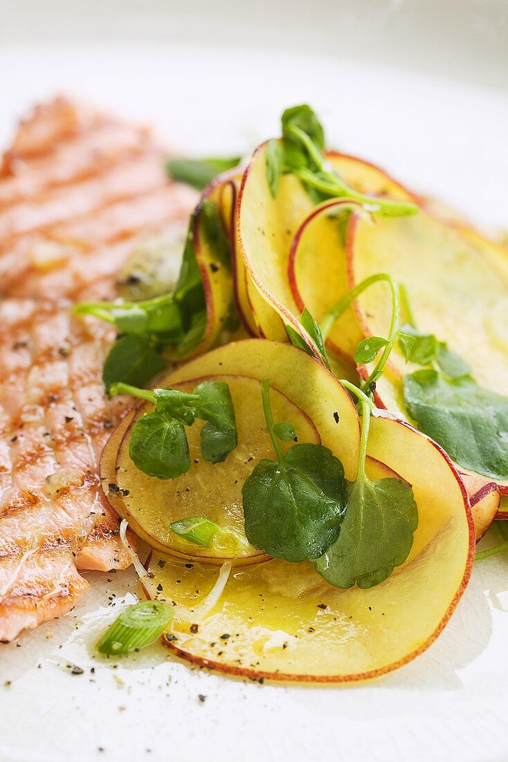 Gegrillter Lachs mit Nektarinensalat