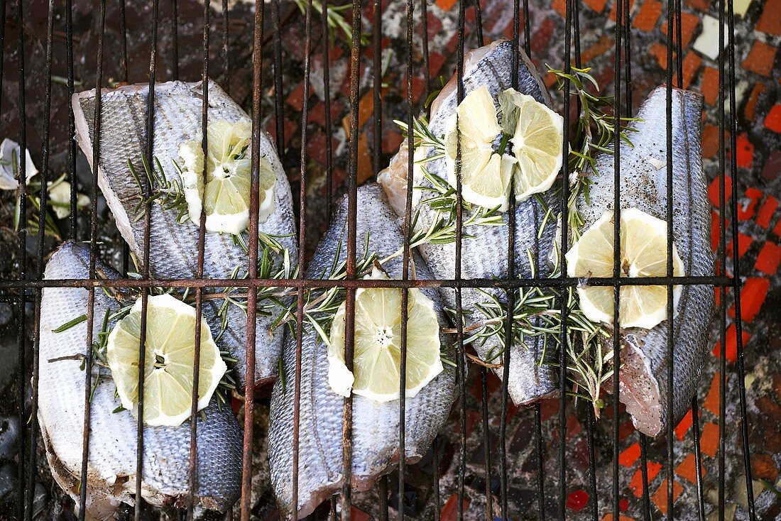 Thunfisch mit Zitronenscheiben und Rosmarin auf dem Grill