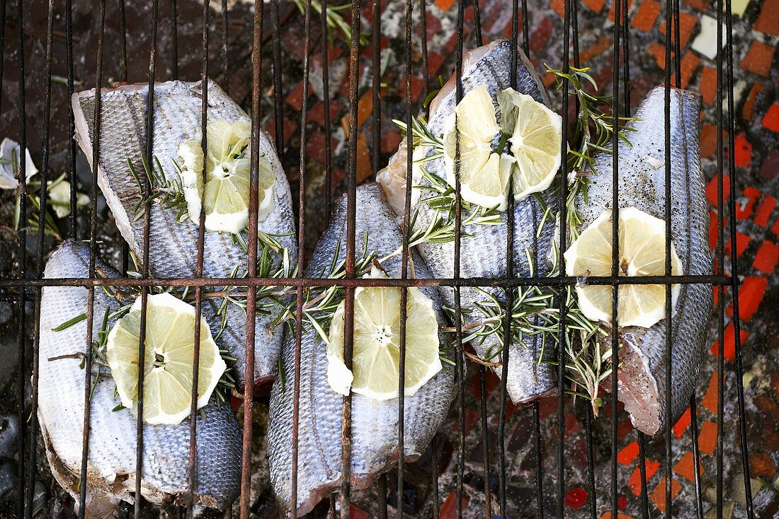 Tuna with lemon slices and rosemary on barbecue