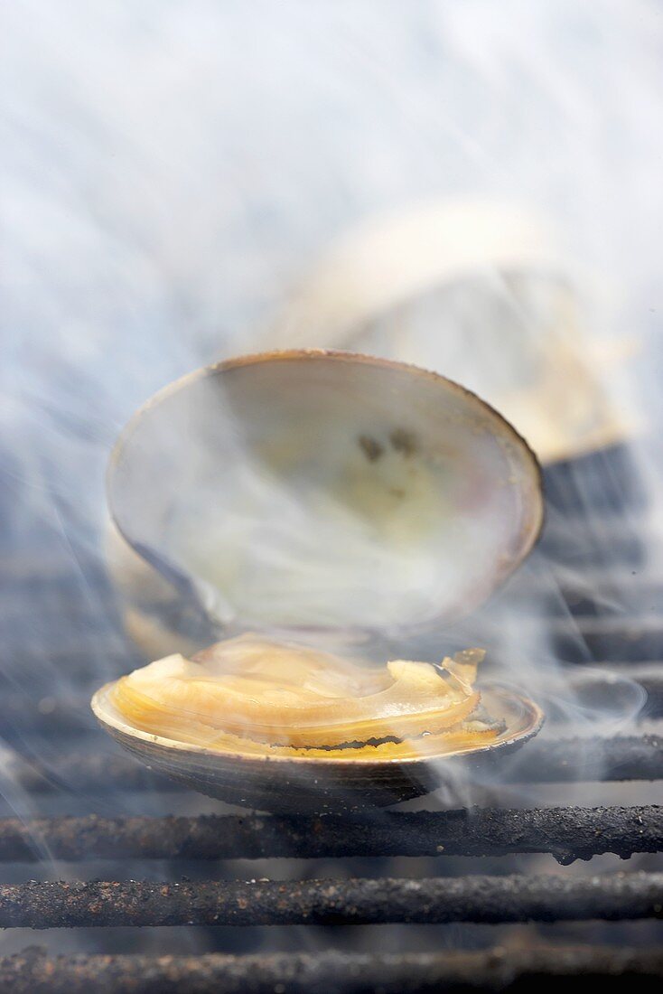 Clams on a barbecue