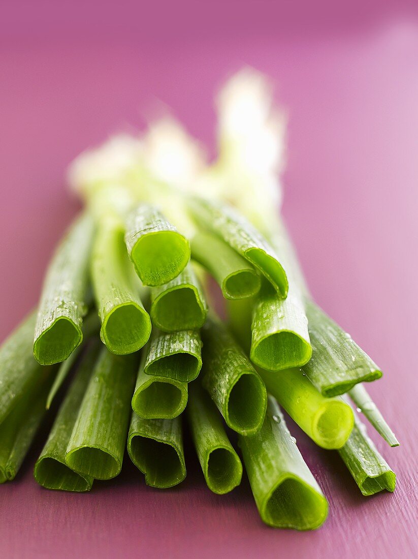 Spring onions on purple background