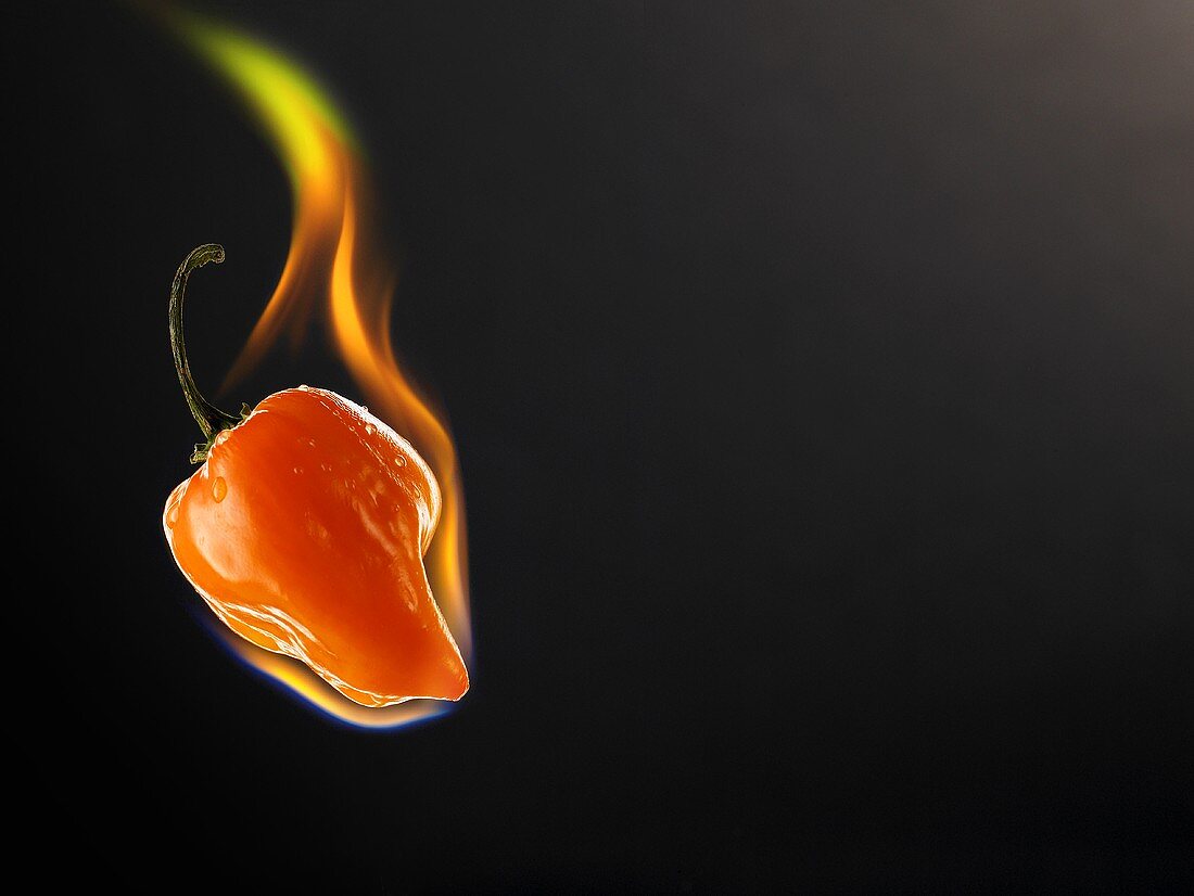 Chilischote in Flammen