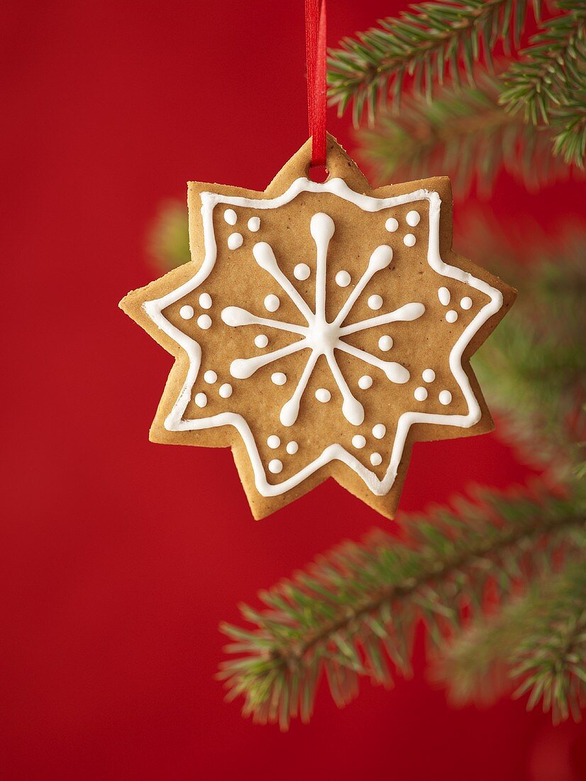 Gingerbread star on Christmas tree