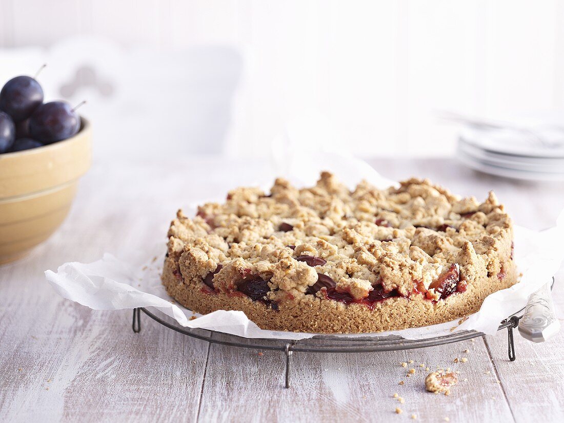 Zwetschgen-Streusel-Kuchen auf Kuchengitter