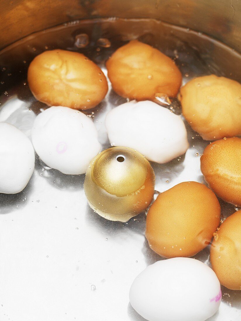 Eggs in egg boiler
