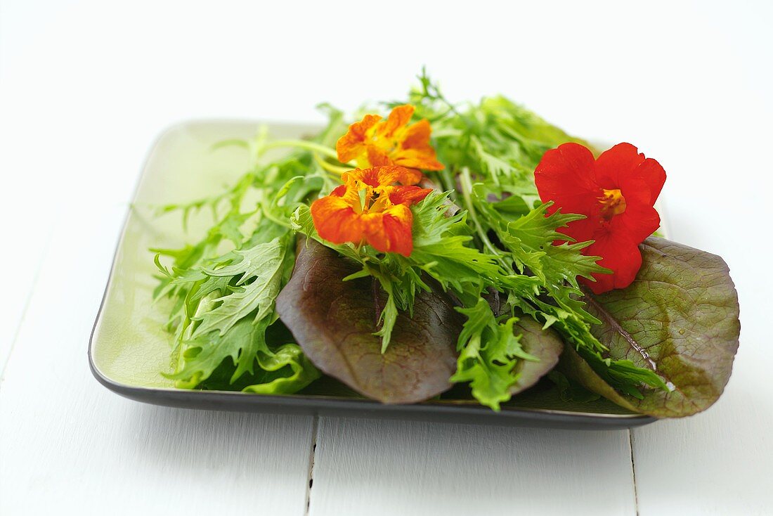 Green salad with edible flowers