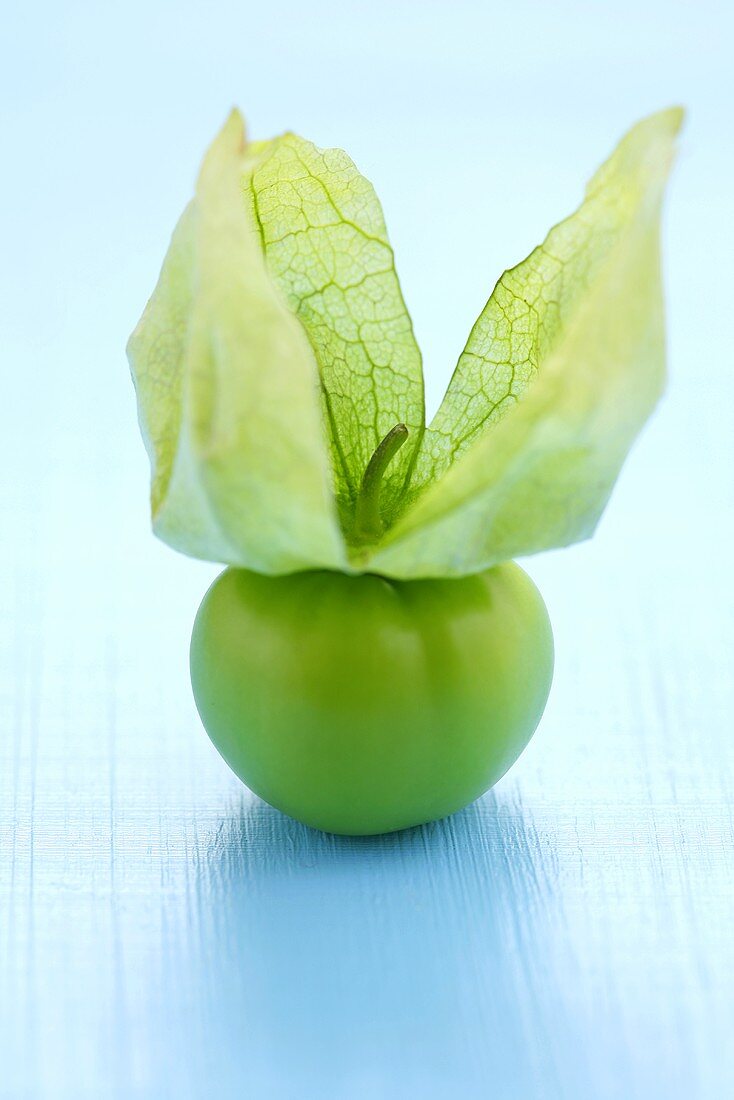 Tomatillo mit aufgestellter Fruchthülle