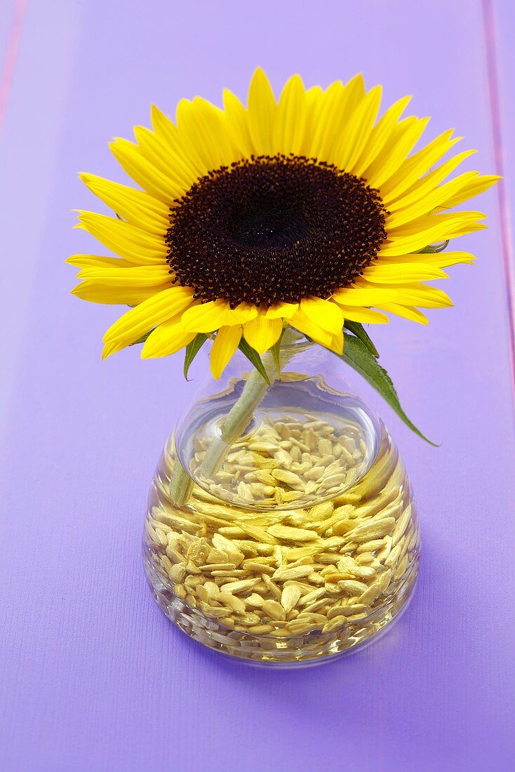 Sonnenblumenöl mit Sonnenblumenkernen und Sonnenblume