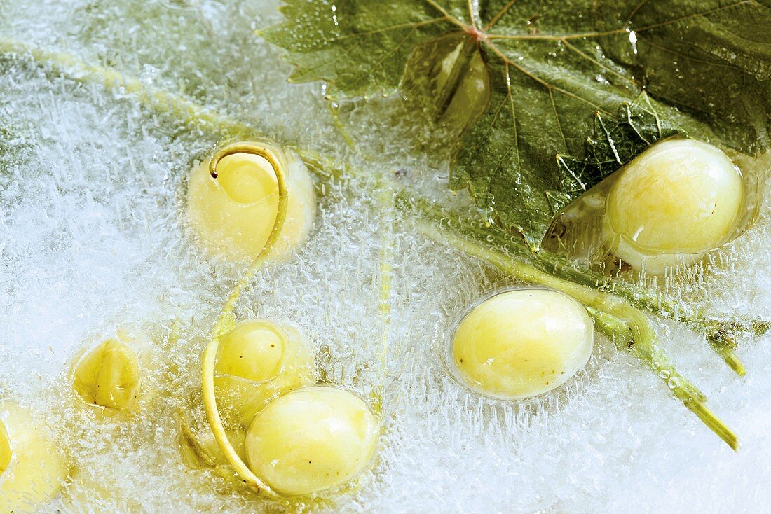 Green grapes in a block of ice