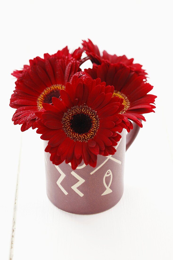 Red gerberas