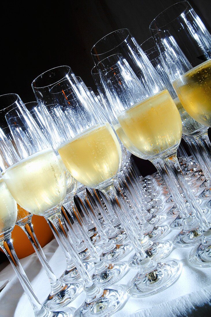 Many glasses of champagne