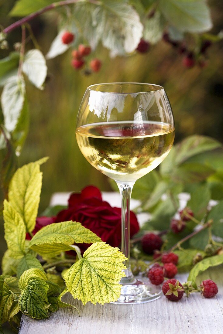 A glass of white wine among raspberries