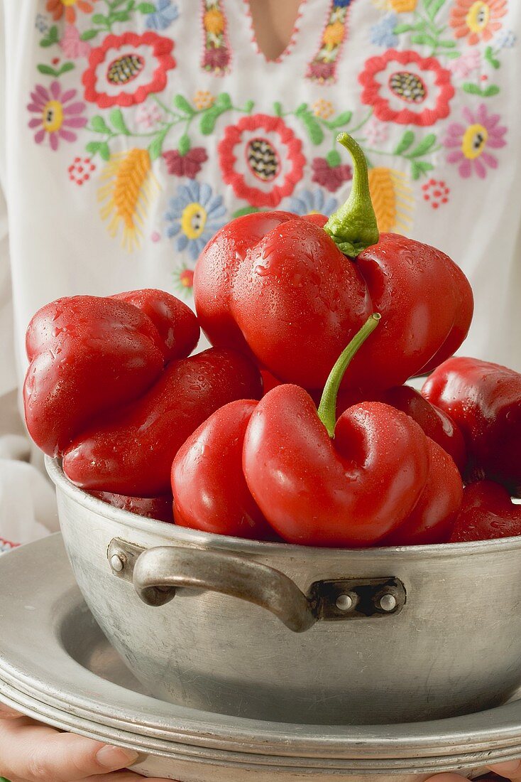 Cherry peppers (Hungary)