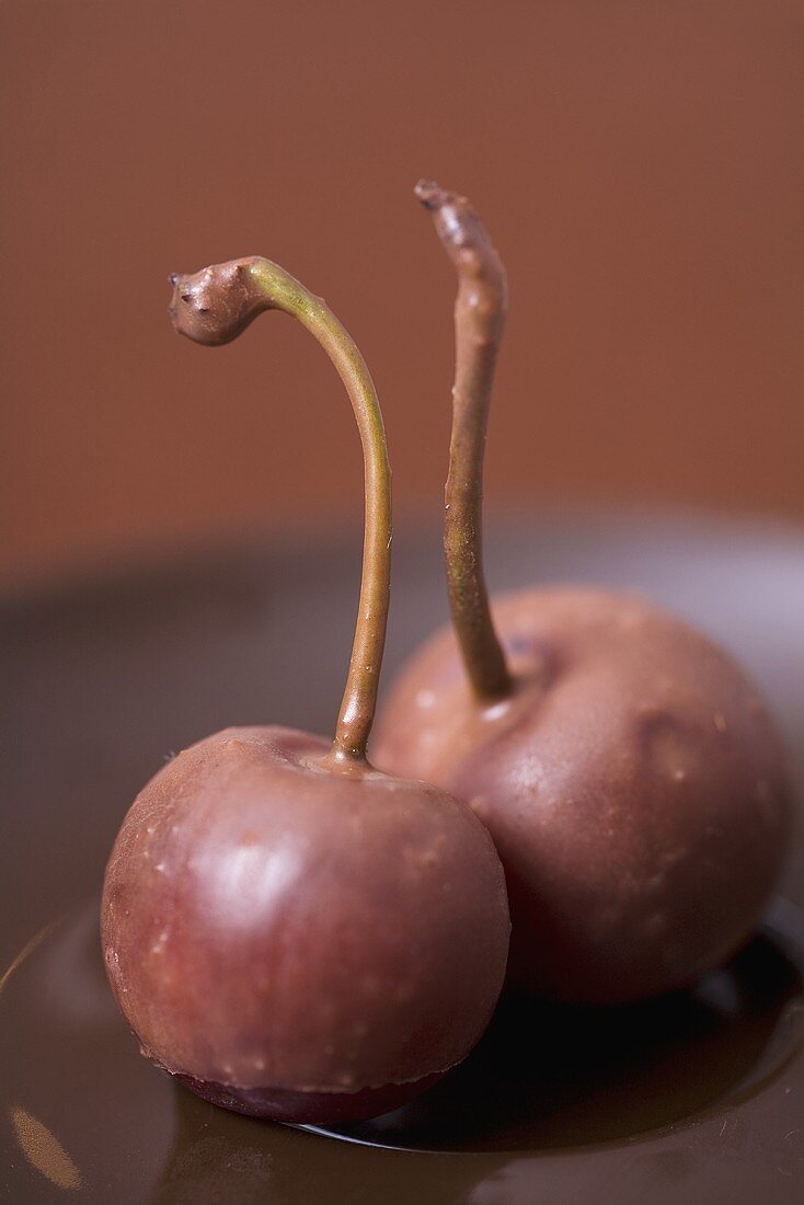 Two chocolate-dipped cherries