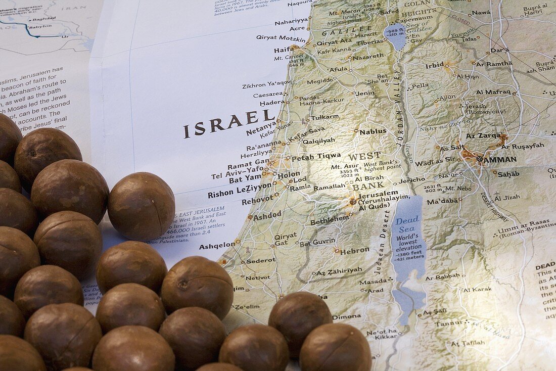 Macadamia nuts from Israel on a map