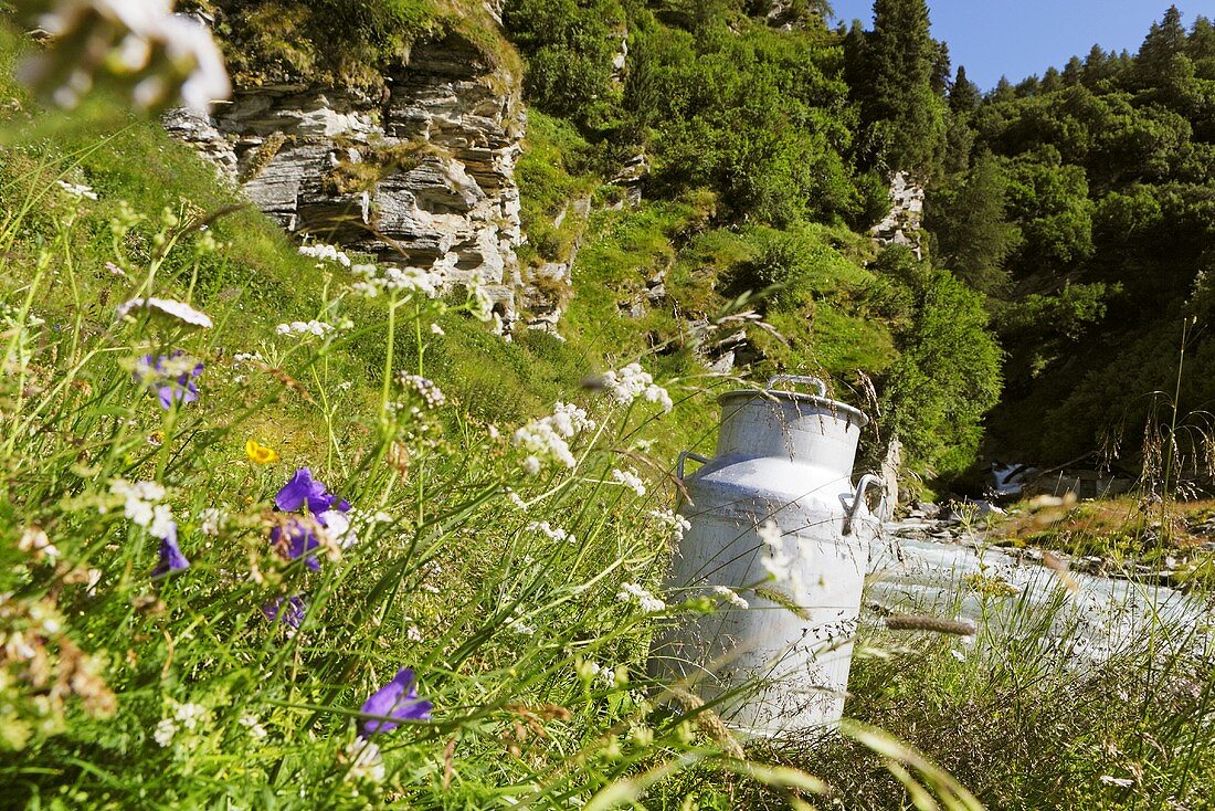 Milk churn by a mountain stream