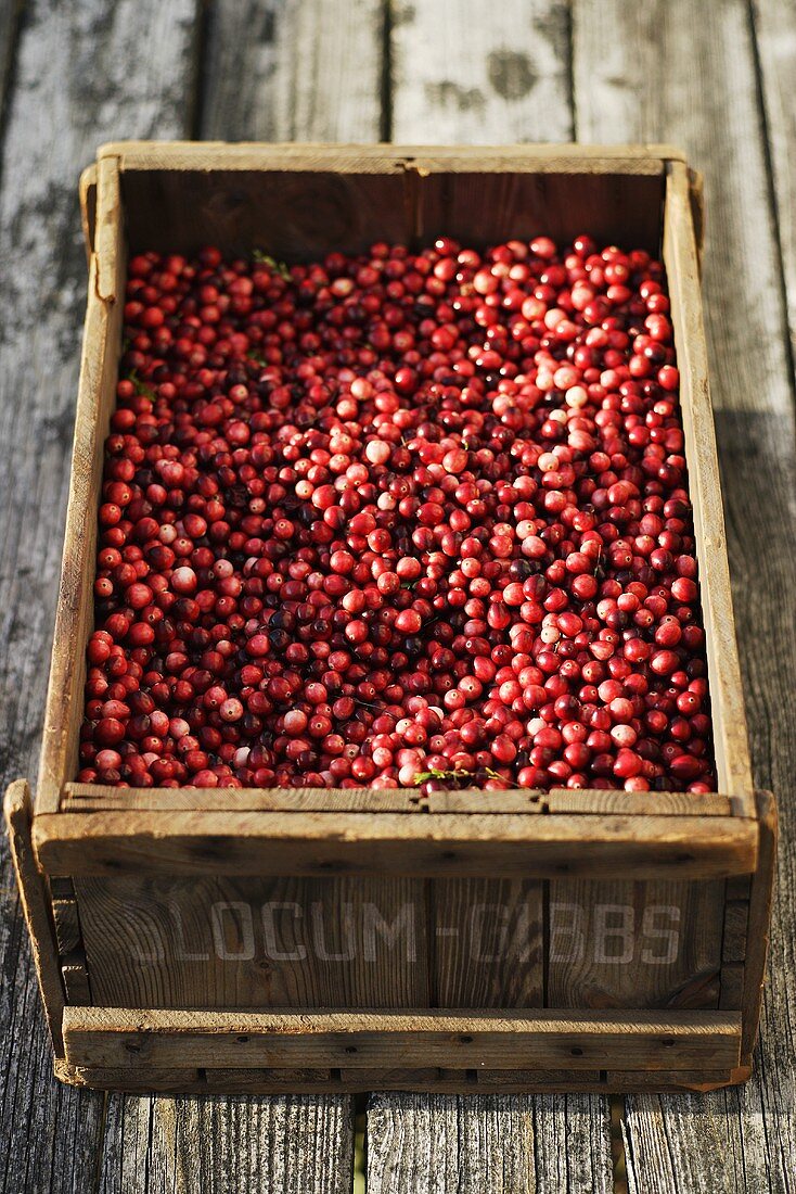 Cranberries in a box