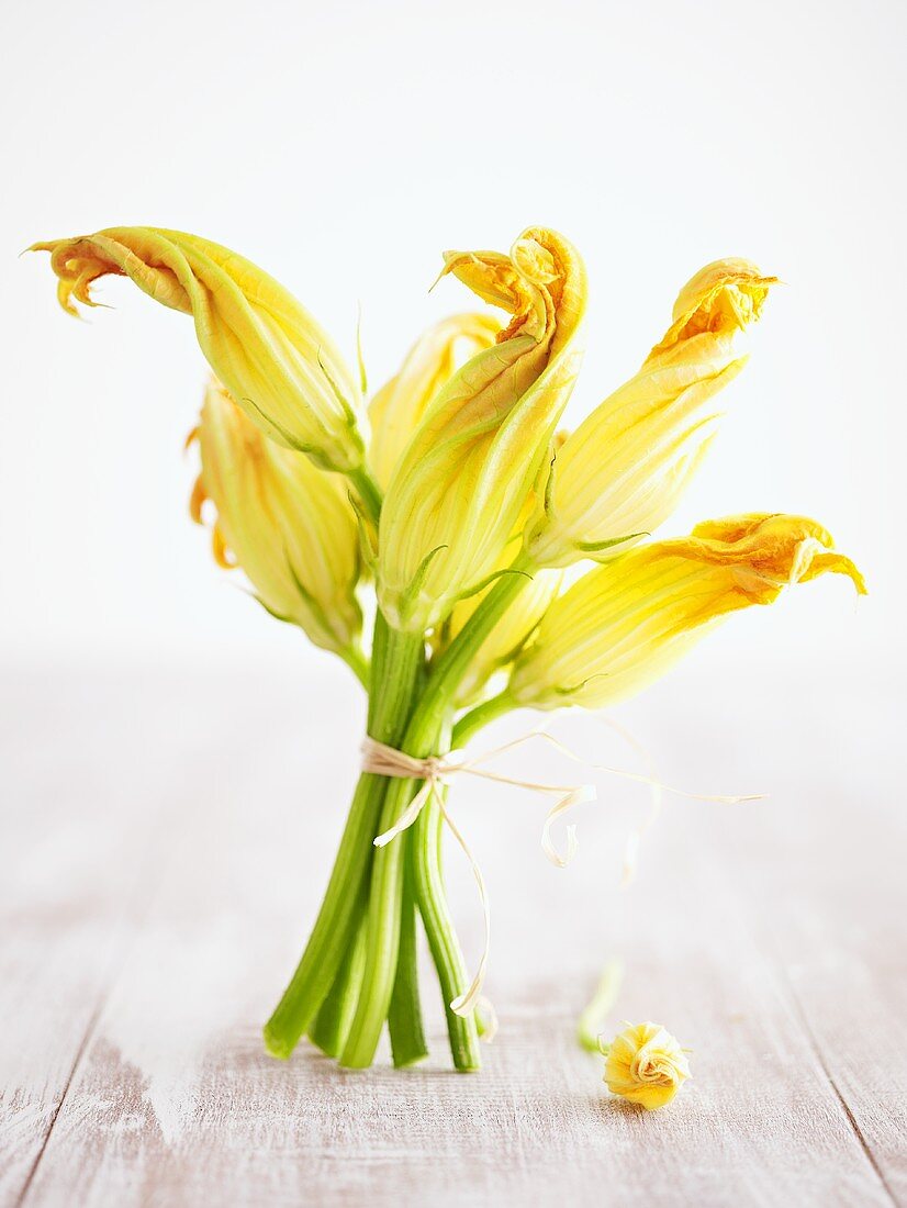 Bund Zucchiniblüten