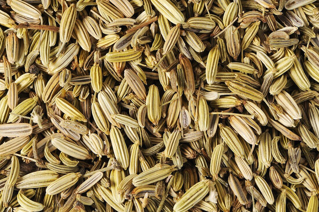 Fennel seeds (full-frame)