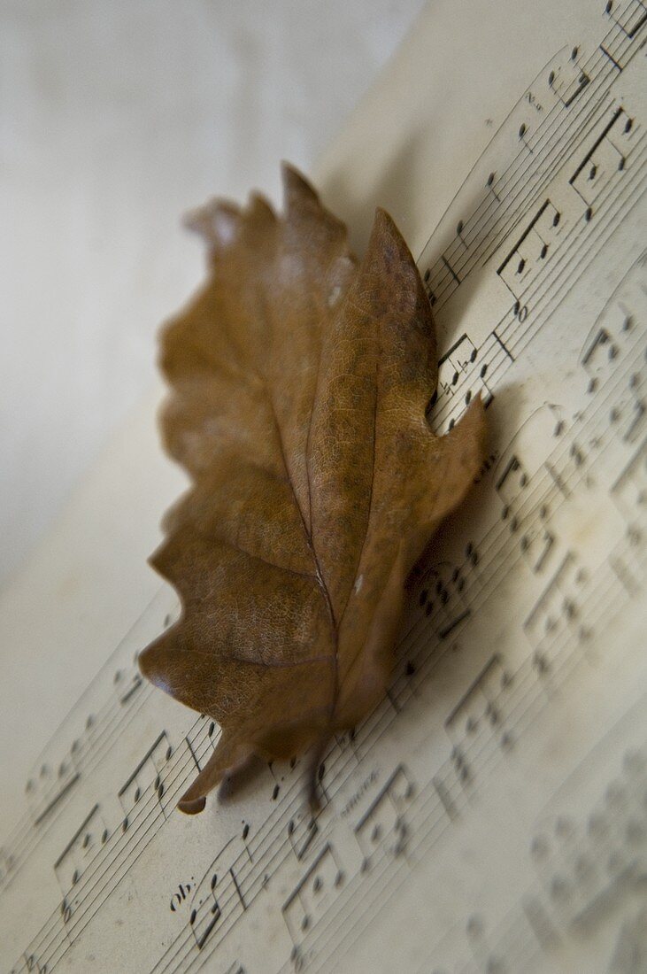 Notenbuch mit einem Herbstblatt (Nahaufnahme)