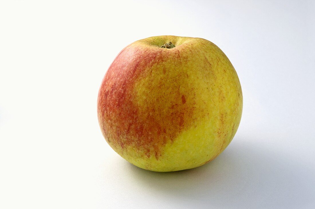 'Alkmene' apple