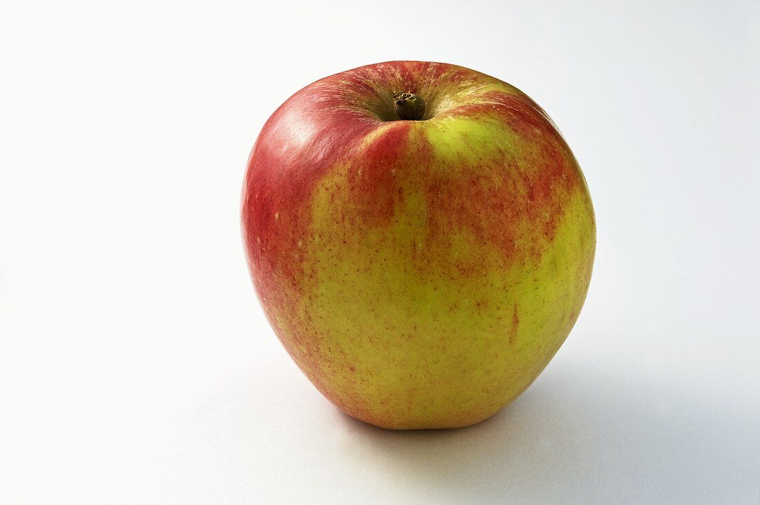 Apfel der Sorte 'Knebusch'