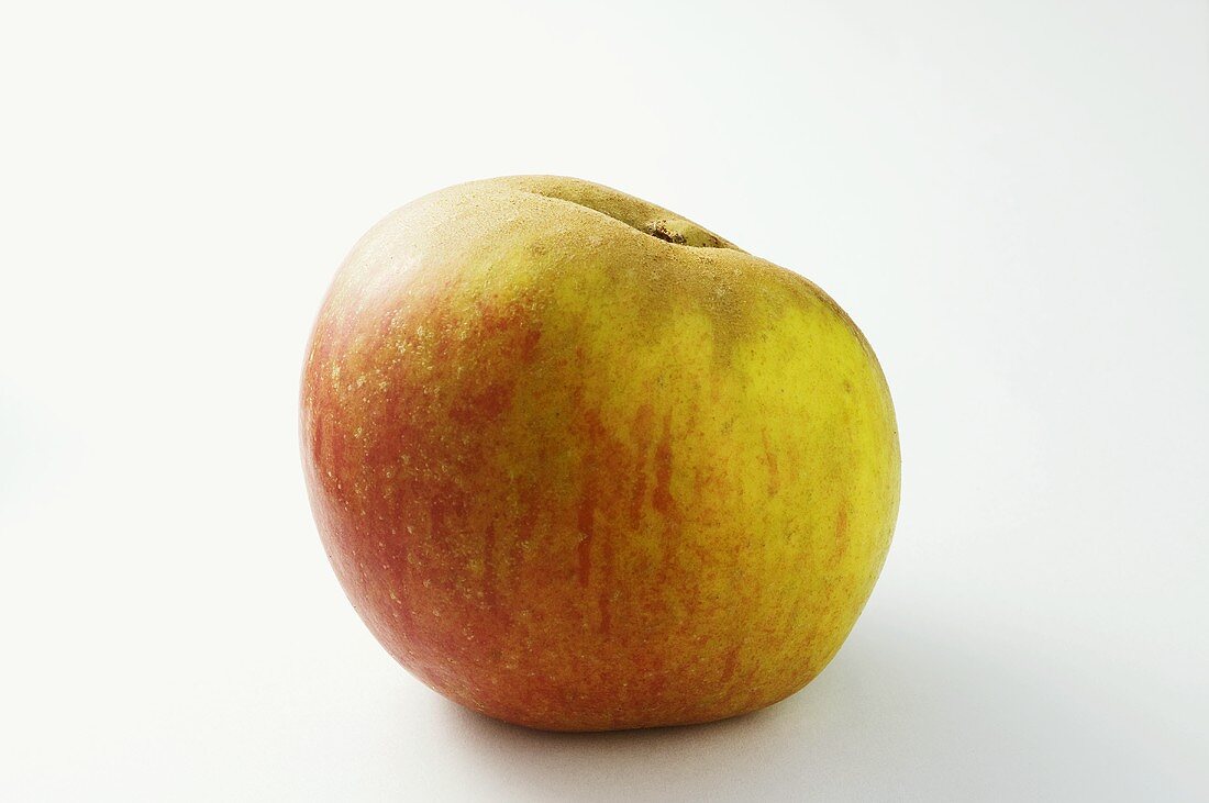 Apfel der Sorte 'Ribston Pepping'
