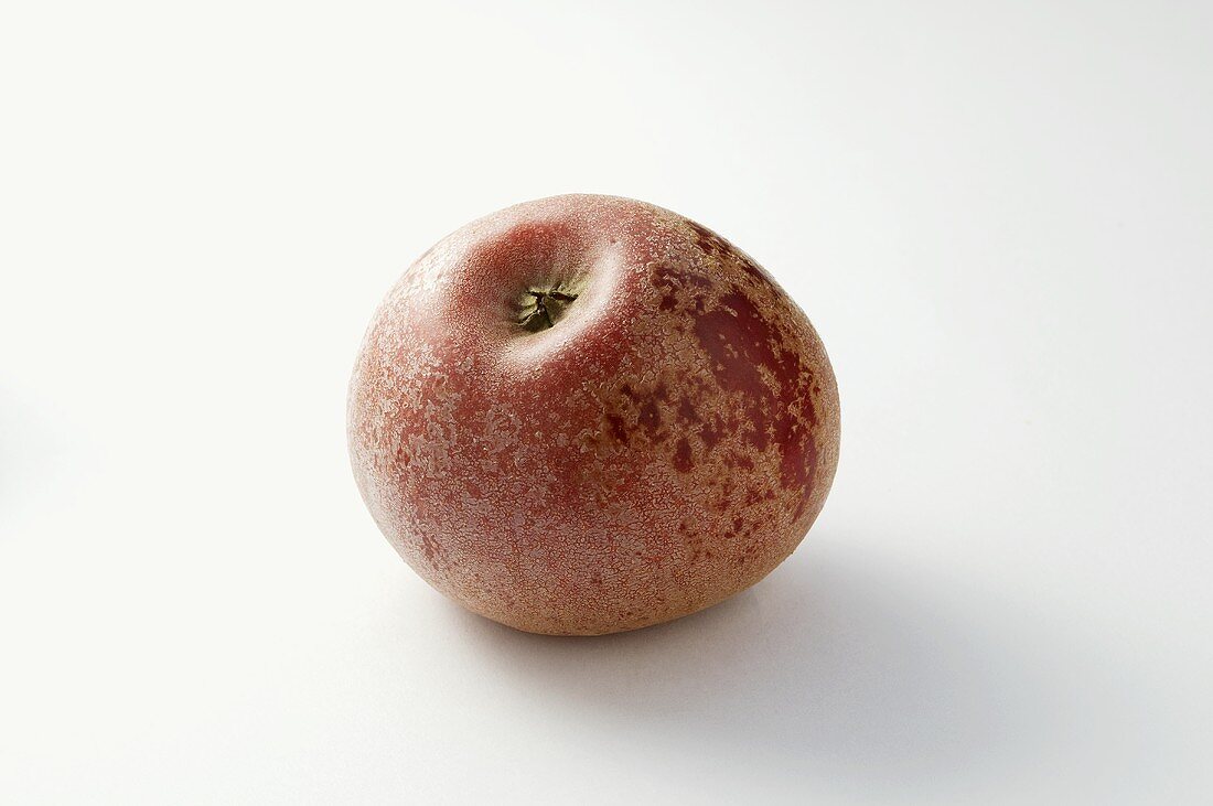 'Rotfranch' apple