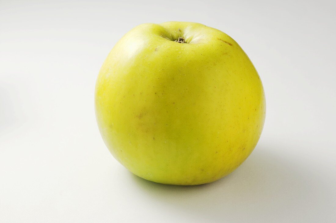 Apple, variety: 'Seestermüher Zitronenapfel'