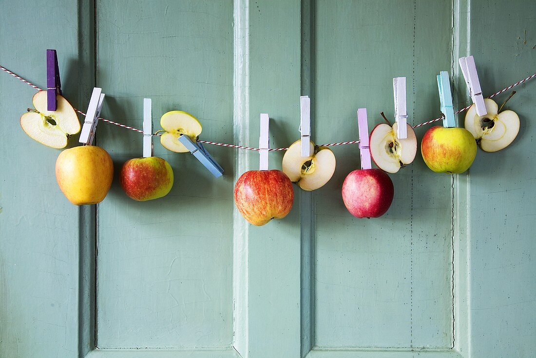 Apples hanging on a washing line