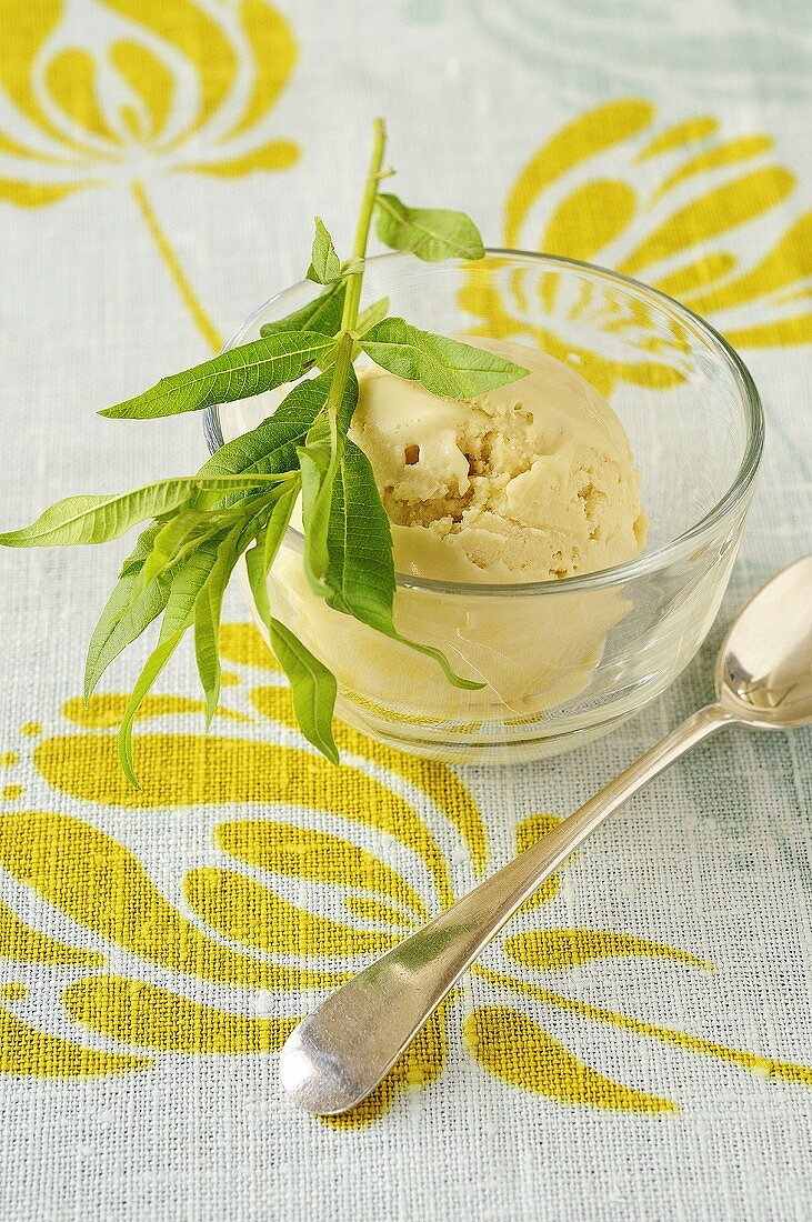 Herb ice cream (verbena) in glass dish