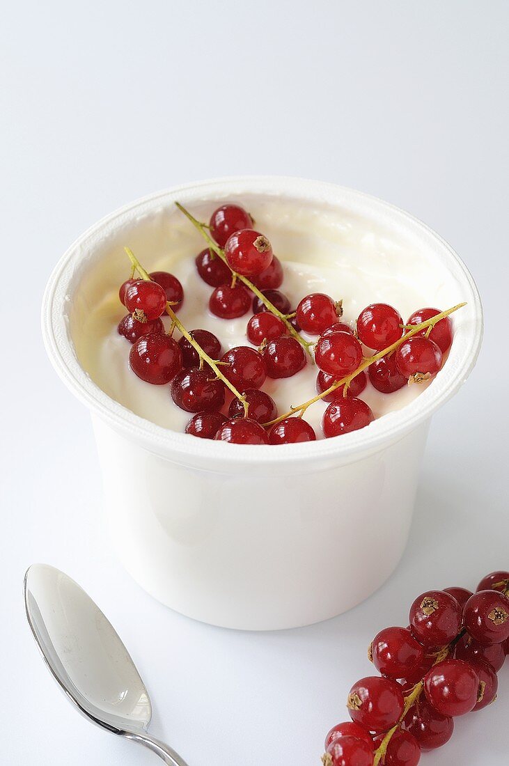 Joghurt mit roten Johannisbeeren