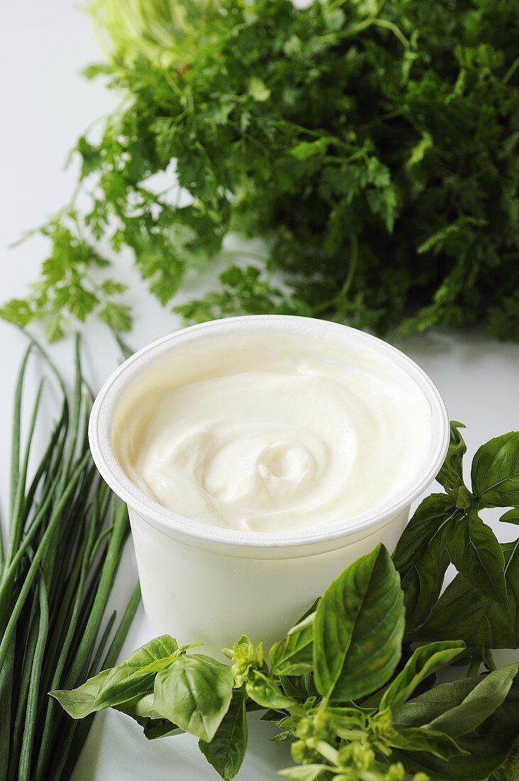 Pot of yoghurt and fresh herbs