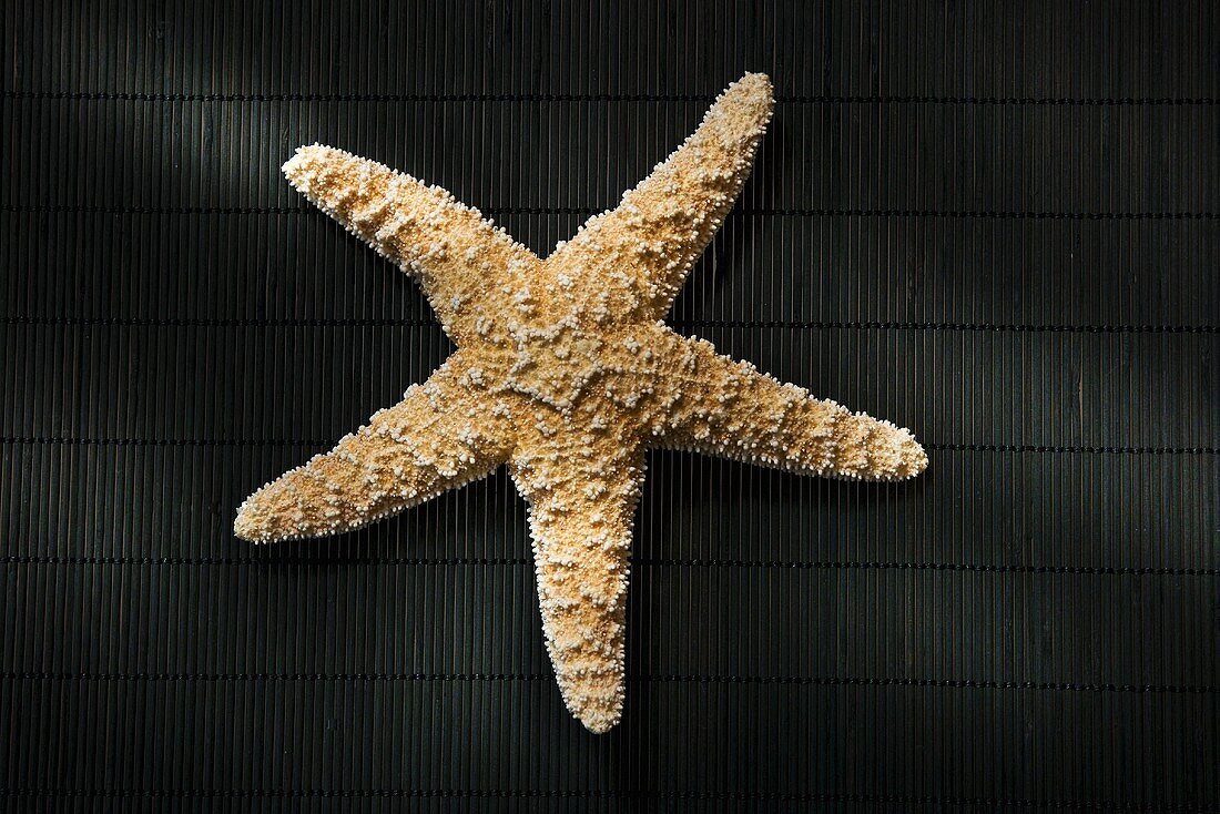 Brown starfish on black bamboo mat (overhead view)