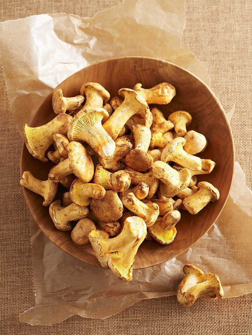 Chanterelles in a wooden bowl