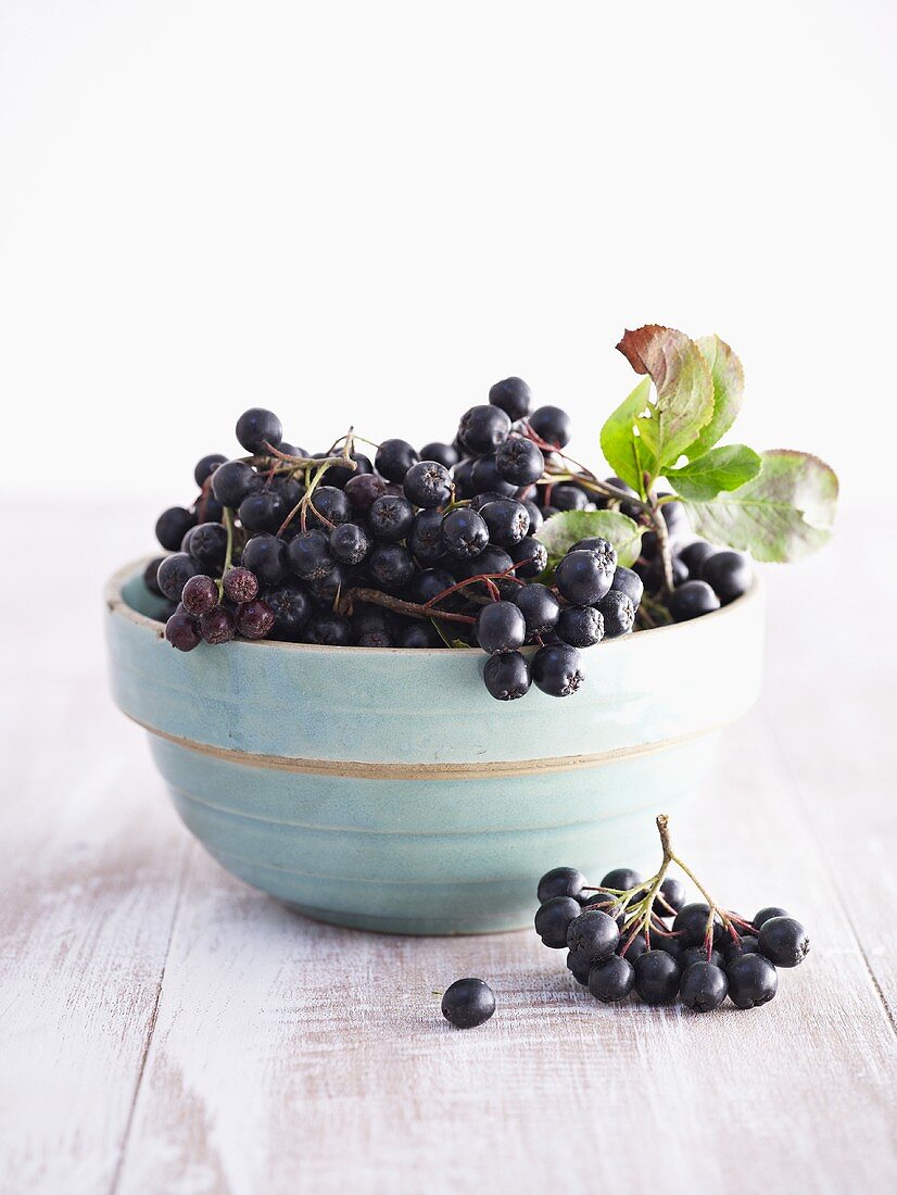 Chokeberries (Aronia berries) in ceramic bowl