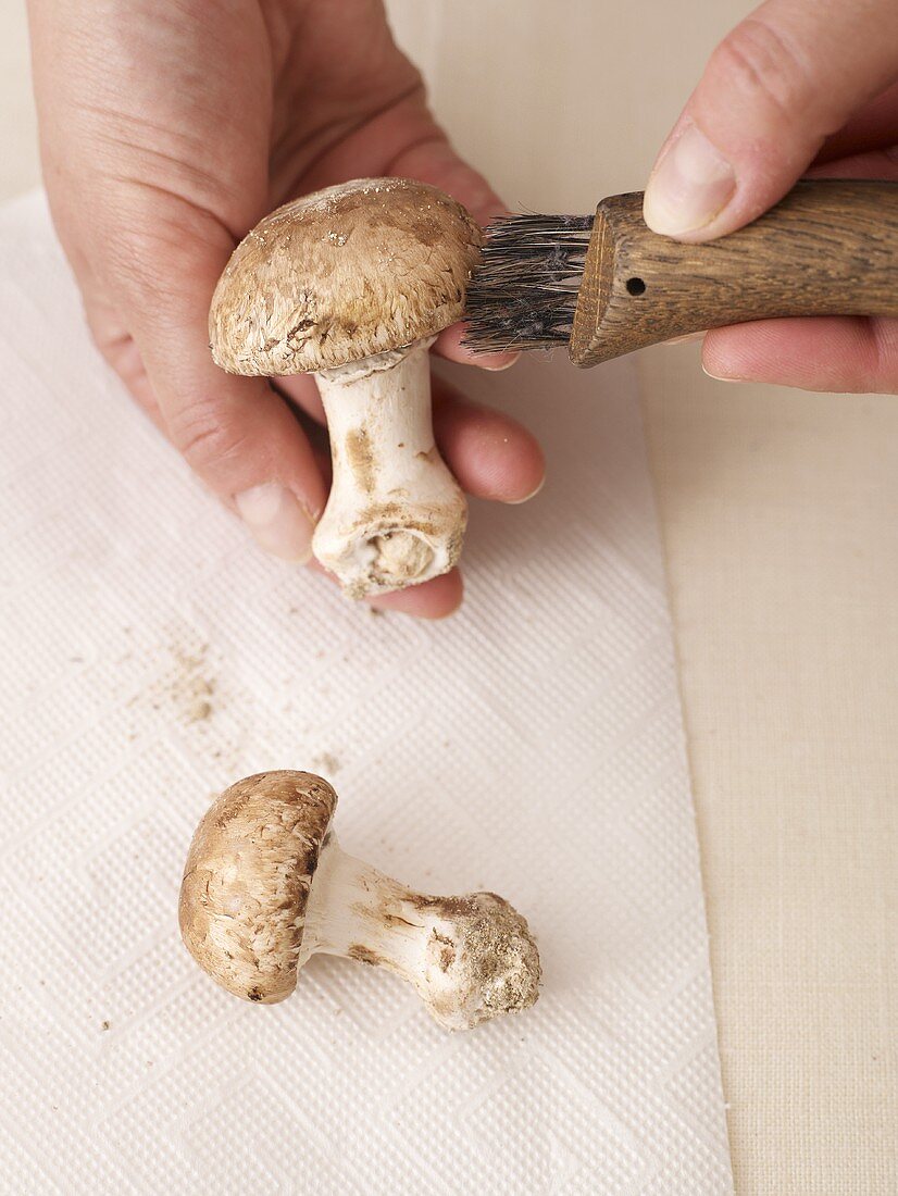Cleaning mushrooms
