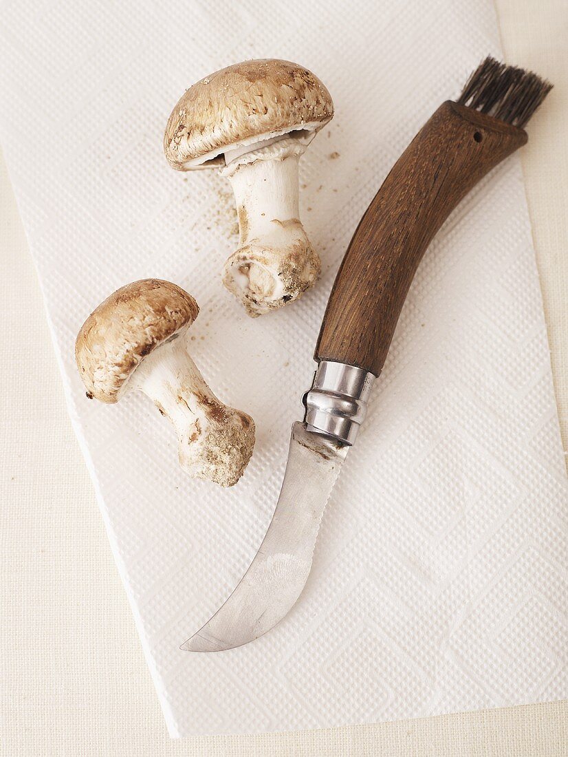 Mushroom knife with two mushrooms