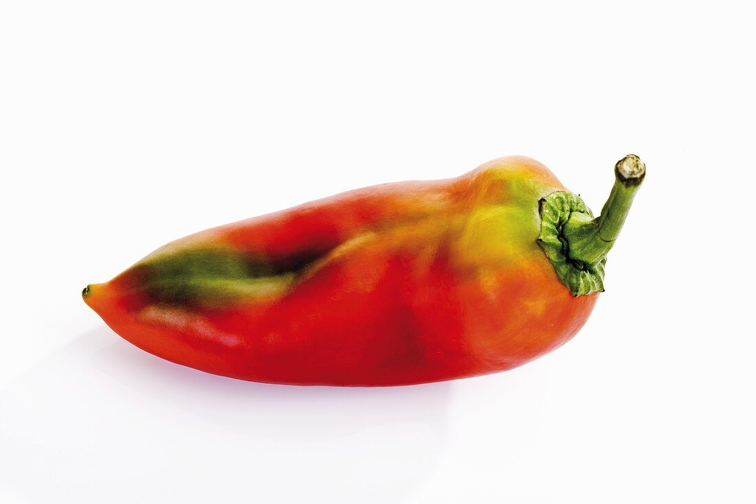 Hungarian pointed pepper