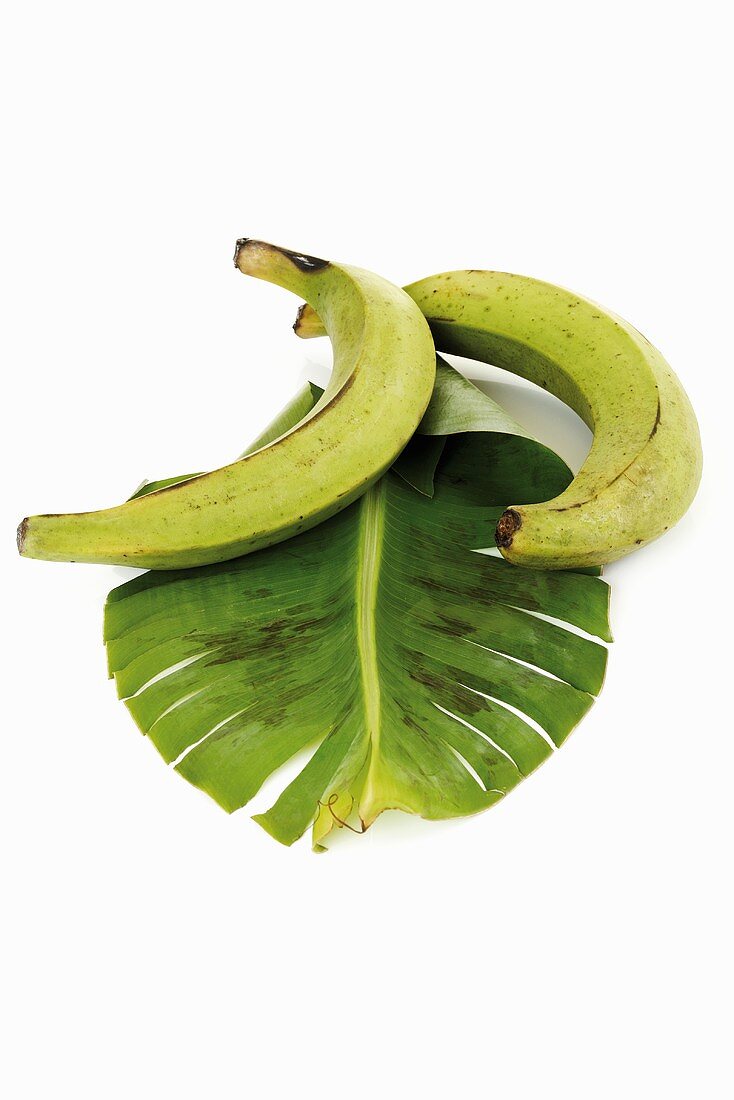 Kochbananen mit Bananenblatt aus Ecuador