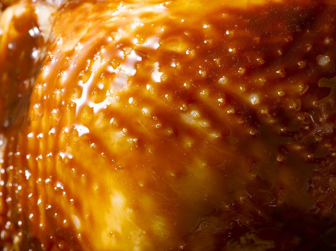 Roast duck with sauce (detail)