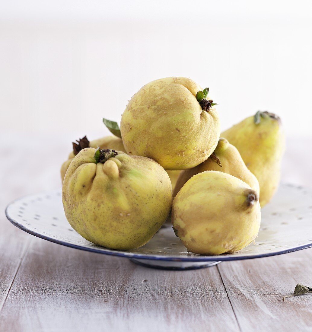 Several quinces on perforated plate