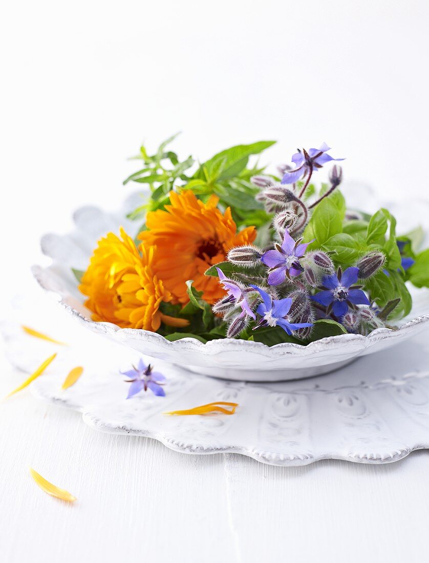 Borage flowers, marigolds, verbena and basil on plate
